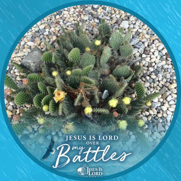 Meet your Posher, Mari - Picture 1 of 1